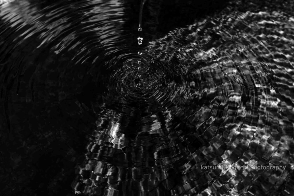 野口克美_還愚02